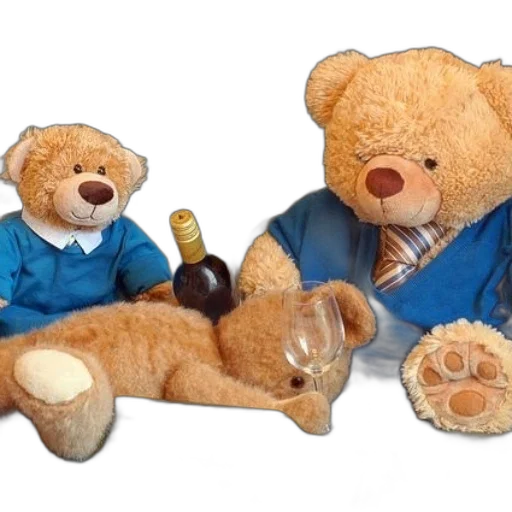 two, teddy, bears, dressed transparent PNG cut-out