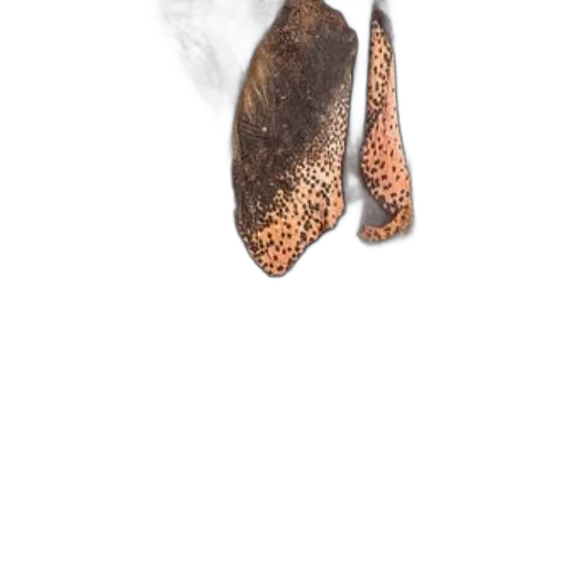 shoes, hat, staff, mask transparent PNG cut-out