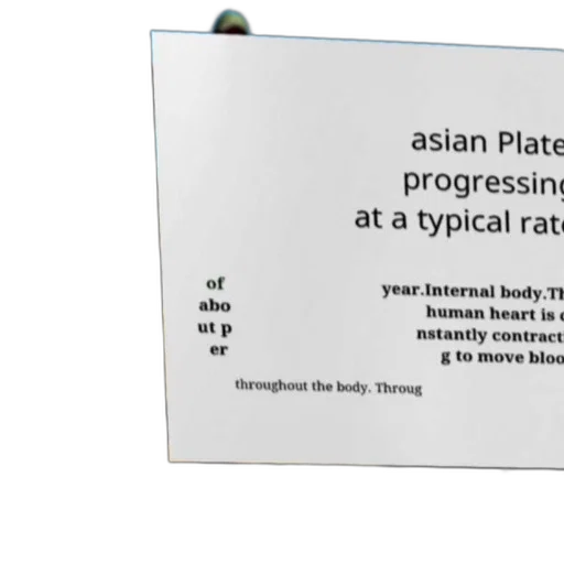 food, text-based, image, white transparent PNG cut-out