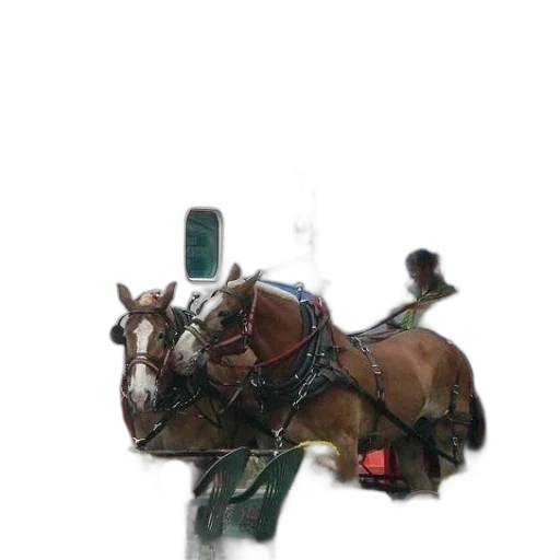 animal, car, hat, robot transparent PNG cut-out