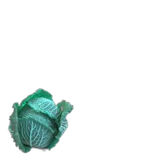 jewelry, crown, mask, food transparent PNG cut-out