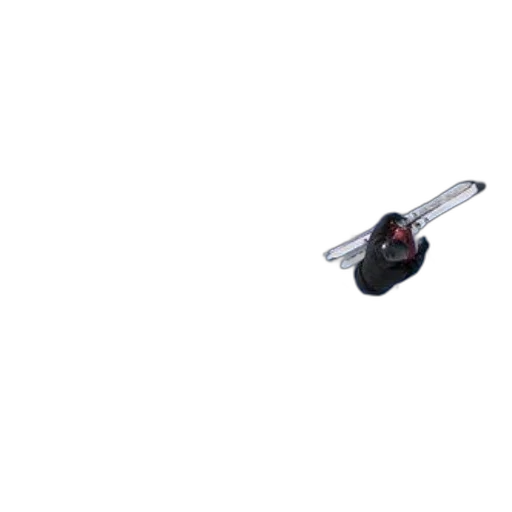 jewelry, staff, weapon, car transparent PNG cut-out