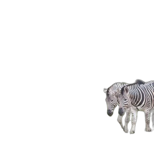 animal, creature, jewelry, robot transparent PNG cut-out