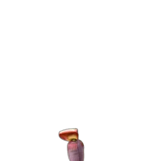 bottle, food, weapon, staff transparent PNG cut-out