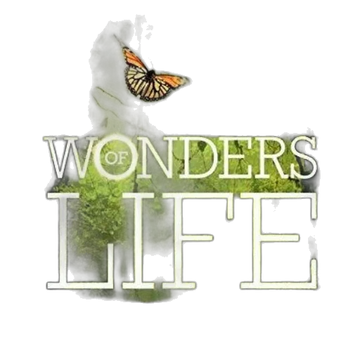 exploring, most, extraordinary, phenomenon transparent PNG cut-out