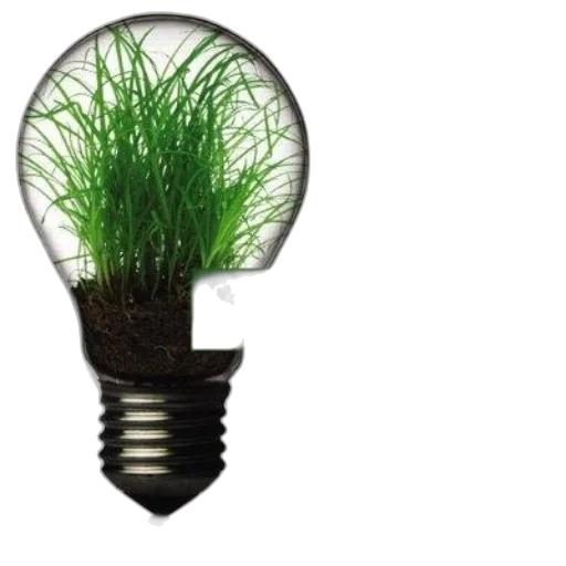 bottle, hair, staff, tree transparent PNG cut-out