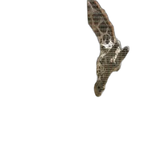 shoes, dragon, hair, animal transparent PNG cut-out