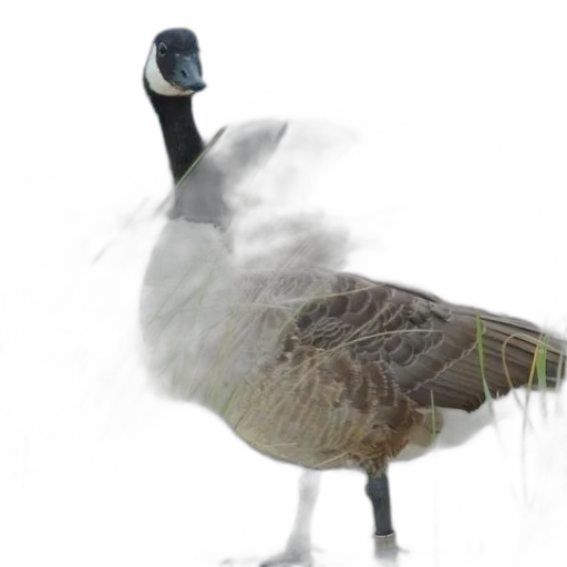 animal, creature, staff, mask transparent PNG cut-out