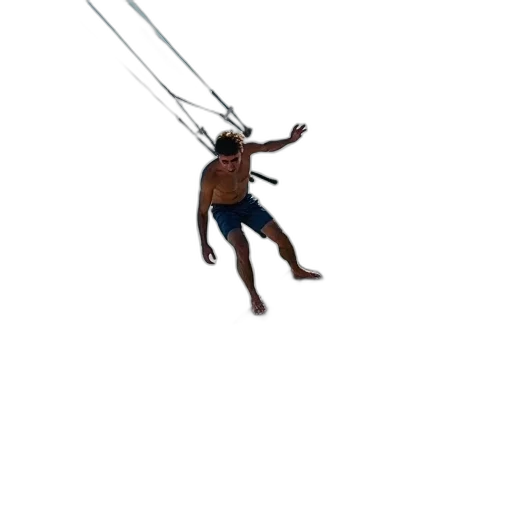 animal, creature, staff, hair transparent PNG cut-out