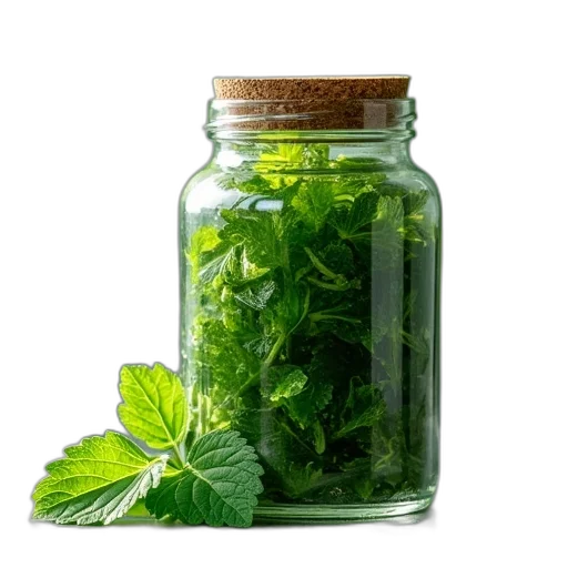 bottle, food, photorealistic, green transparent PNG cut-out