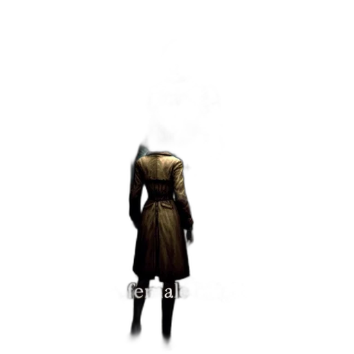 jacket, dress, mask, staff transparent PNG cut-out