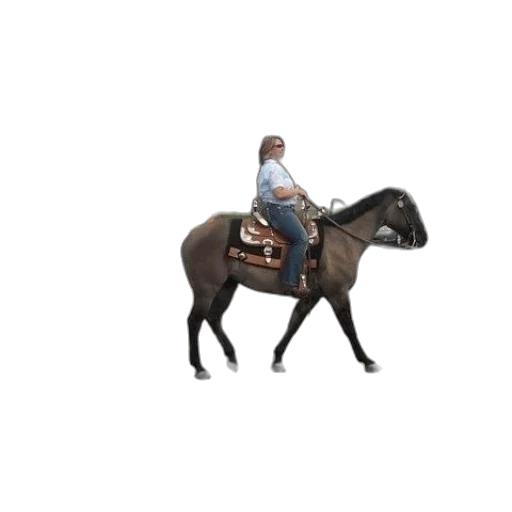 animal, staff, jacket, concept art transparent PNG cut-out