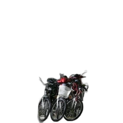 shoes, jacket, animal, weapon transparent PNG cut-out