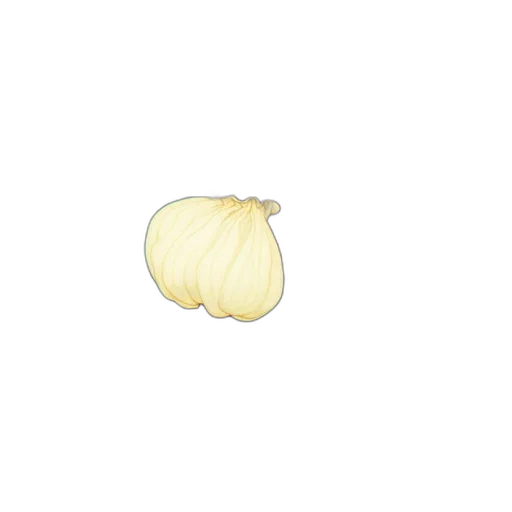 food, hair, crown, flower transparent PNG cut-out