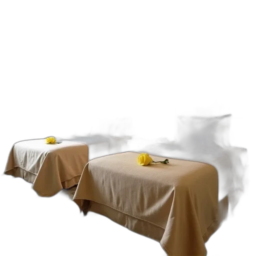 furniture, car, staff, photorealistic transparent PNG cut-out