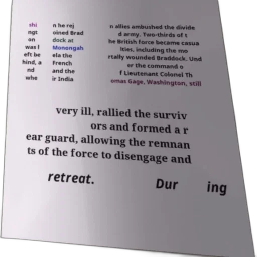 staff, 3d render, historical, text transparent PNG cut-out