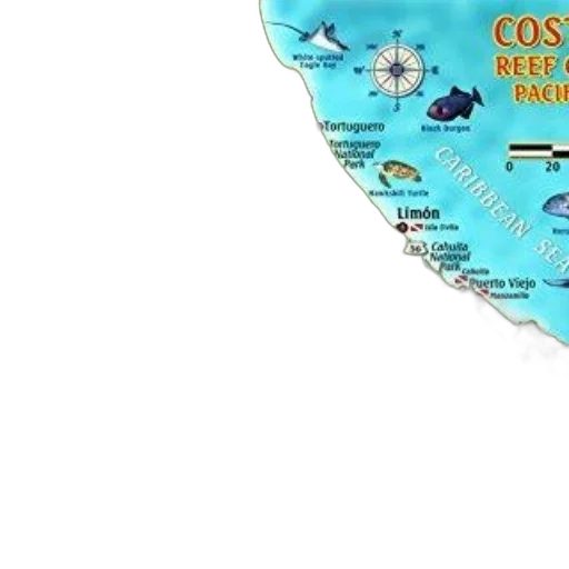 colorful, map, costa, rica transparent PNG cut-out