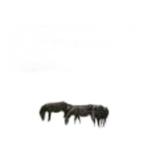 animal, hair, creature, furniture transparent PNG cut-out
