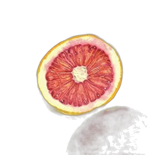 food, umbrella, face, jacket transparent PNG cut-out