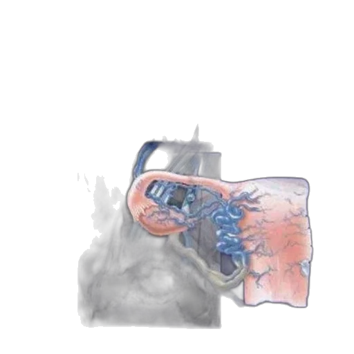 mask, face, robot, crown transparent PNG cut-out