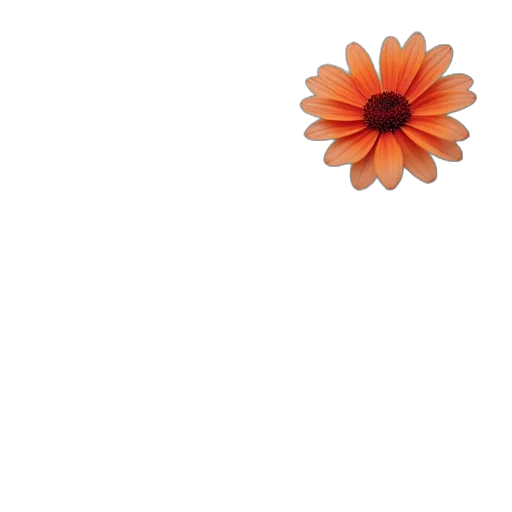 flower, crown, jewelry, dress transparent PNG cut-out