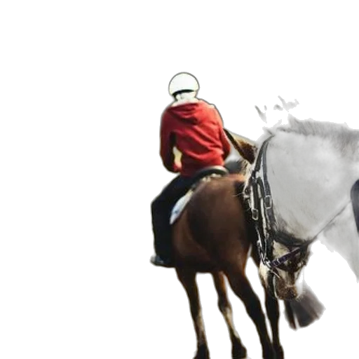 hat, animal, staff, crown transparent PNG cut-out
