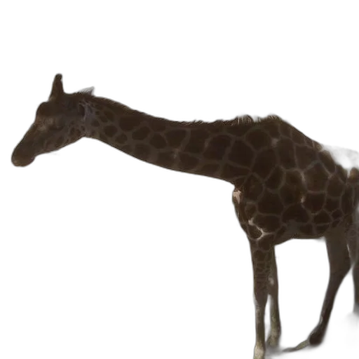 animal, creature, staff, weapon transparent PNG cut-out