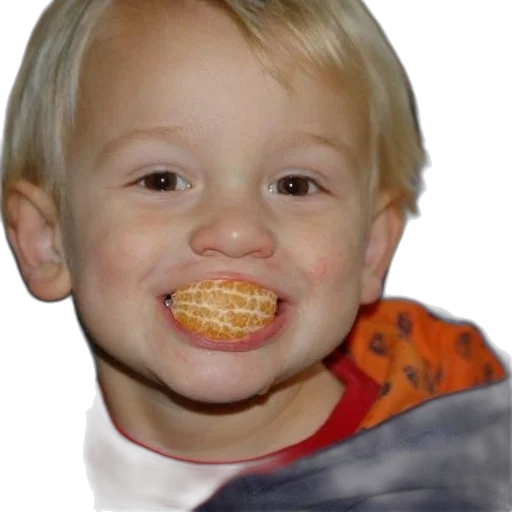 face, food, creature, animal transparent PNG cut-out