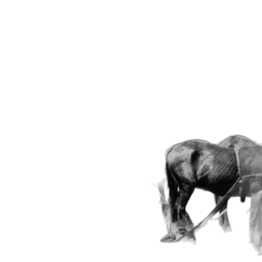 animal, creature, weapon, dragon transparent PNG cut-out