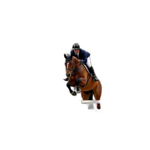 equestrian, jumping, competition, front transparent PNG cut-out