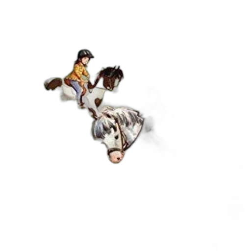 hair, animal, jewelry, creature transparent PNG cut-out