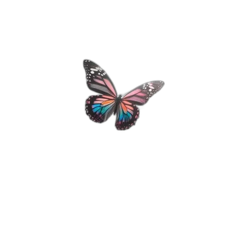jewelry, animal, creature, flower transparent PNG cut-out