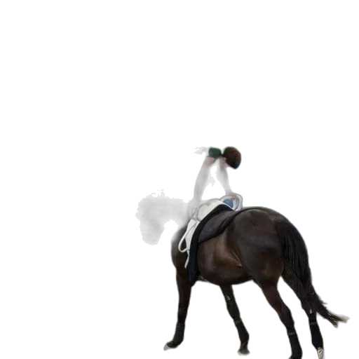 animal, staff, hat, dragon transparent PNG cut-out