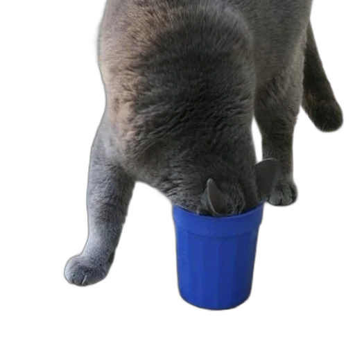 staff, animal, hat, food transparent PNG cut-out