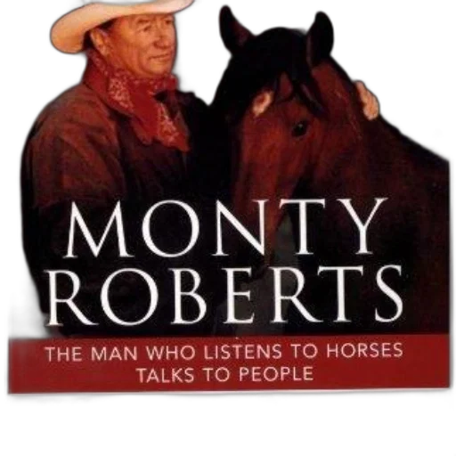hat, cover, horse, sense transparent PNG cut-out