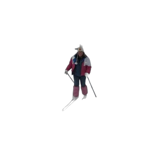 staff, jacket, animal, weapon transparent PNG cut-out