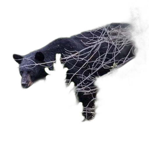 animal, creature, tree, dragon transparent PNG cut-out