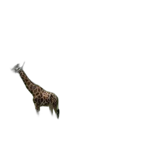 animal, creature, dragon, staff transparent PNG cut-out