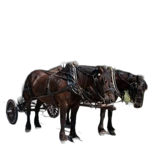 animal, staff, robot, weapon transparent PNG cut-out
