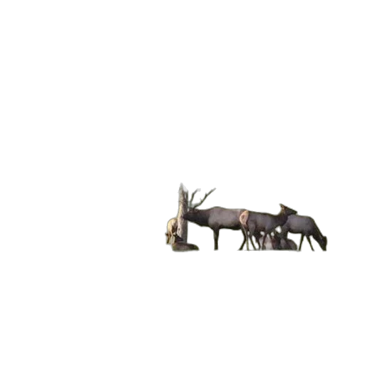 dragon, animal, furniture, creature transparent PNG cut-out