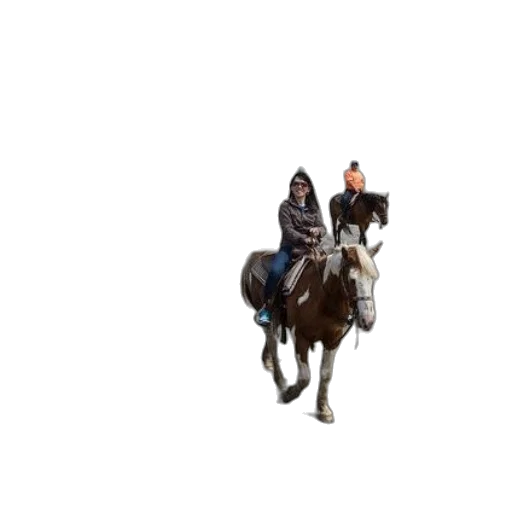 animal, staff, hat, car transparent PNG cut-out