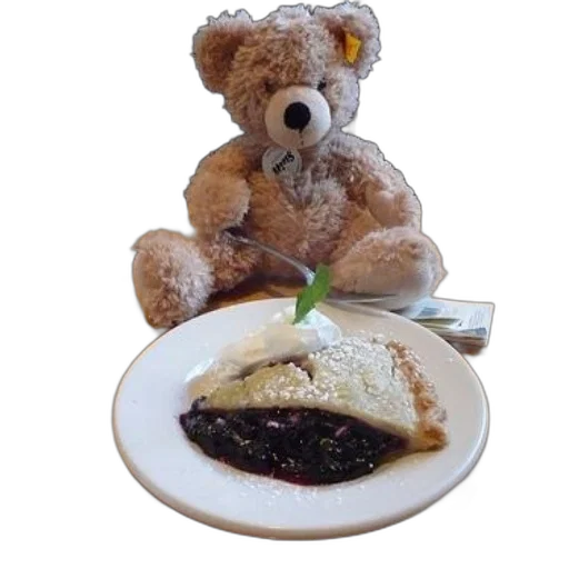food, teddy, bear, sits transparent PNG cut-out