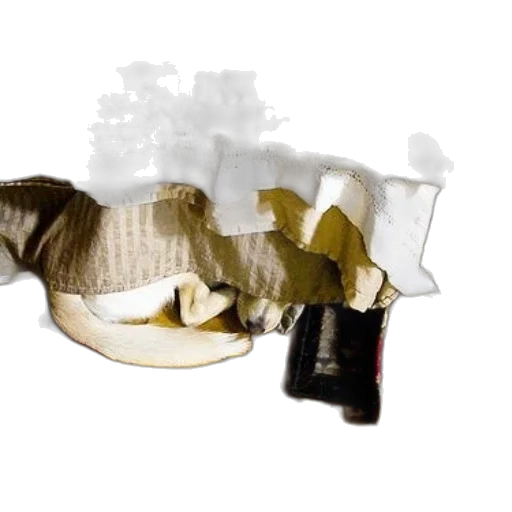 weapon, shoes, bottle, mask transparent PNG cut-out