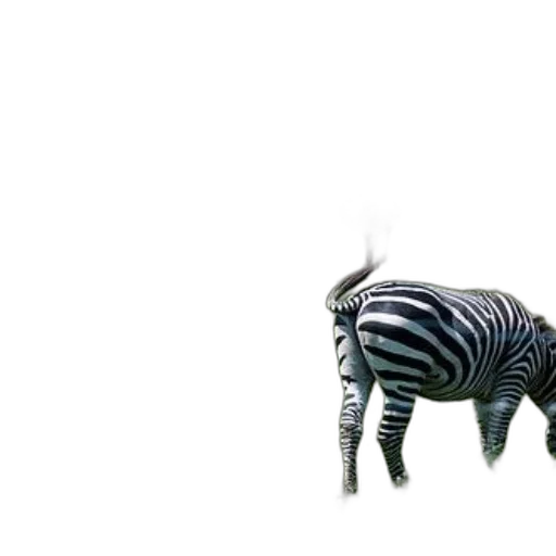 animal, creature, furniture, jewelry transparent PNG cut-out