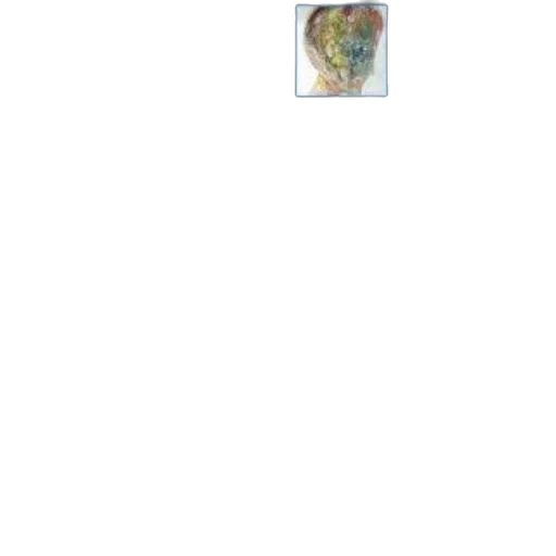 staff, face, jewelry, tree transparent PNG cut-out