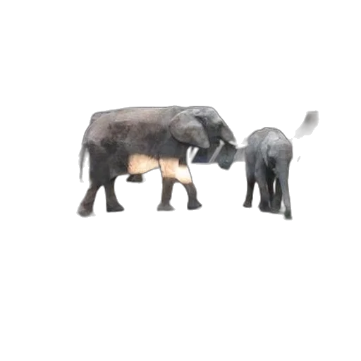 animal, furniture, creature, weapon transparent PNG cut-out