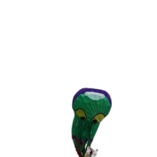 umbrella, shoes, creature, animal transparent PNG cut-out