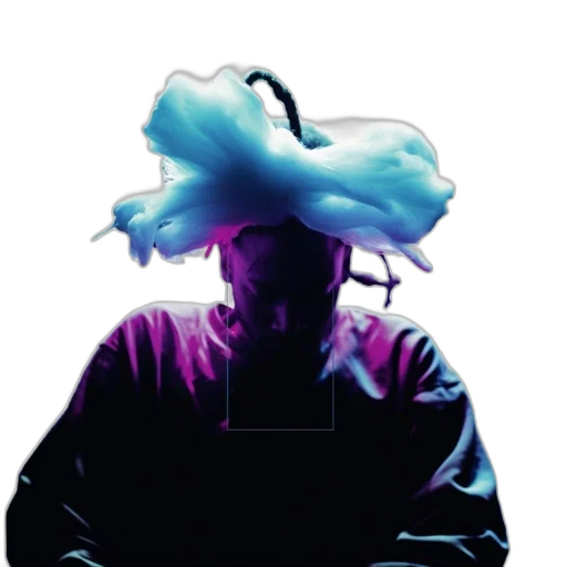 jacket, crown, hat, flower transparent PNG cut-out