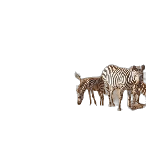 animal, creature, furniture, 3d render transparent PNG cut-out