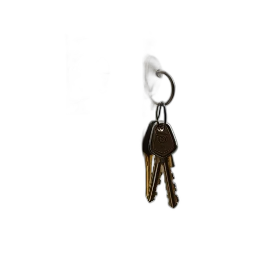 jewelry, staff, jacket, furniture transparent PNG cut-out